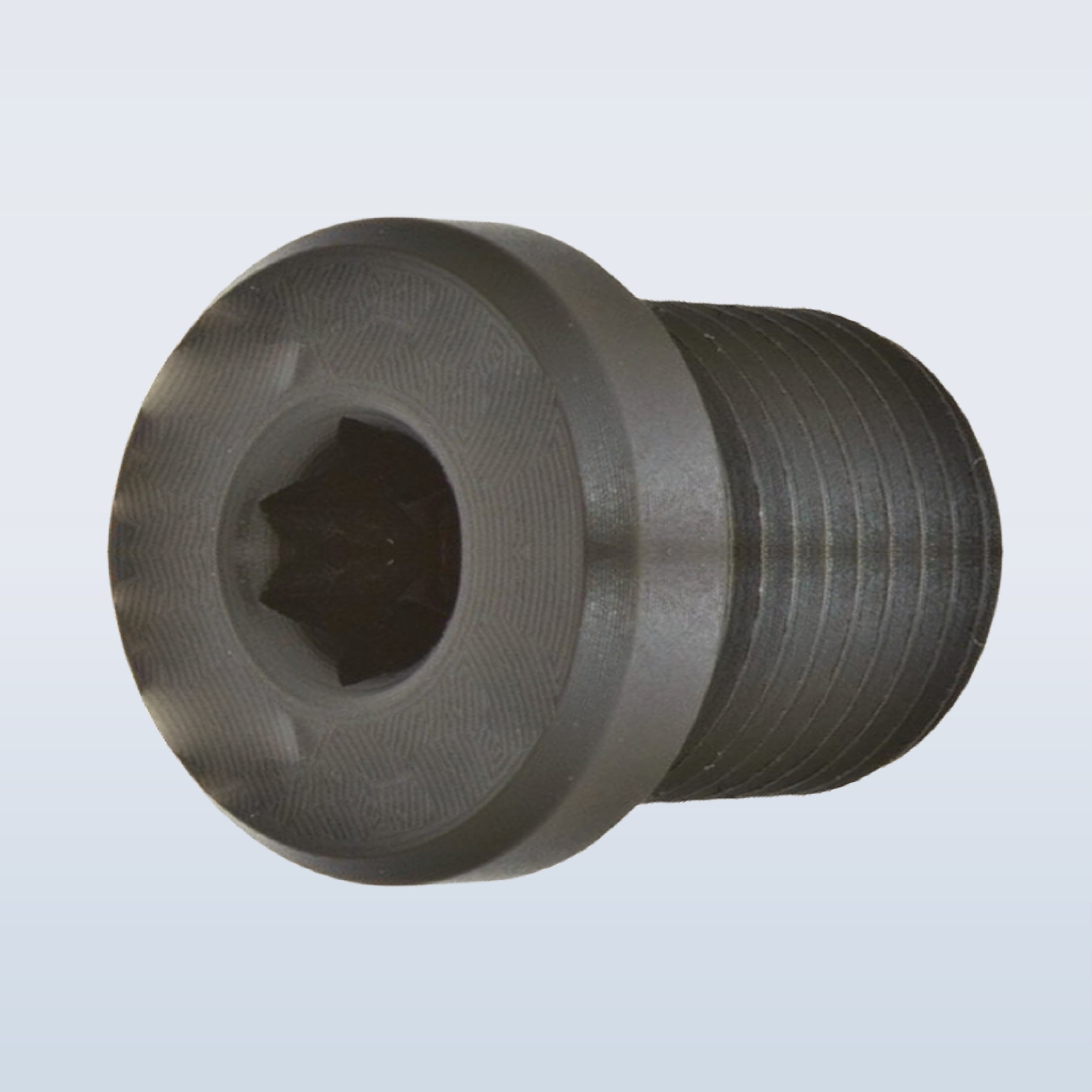 CHAMBER PLUG