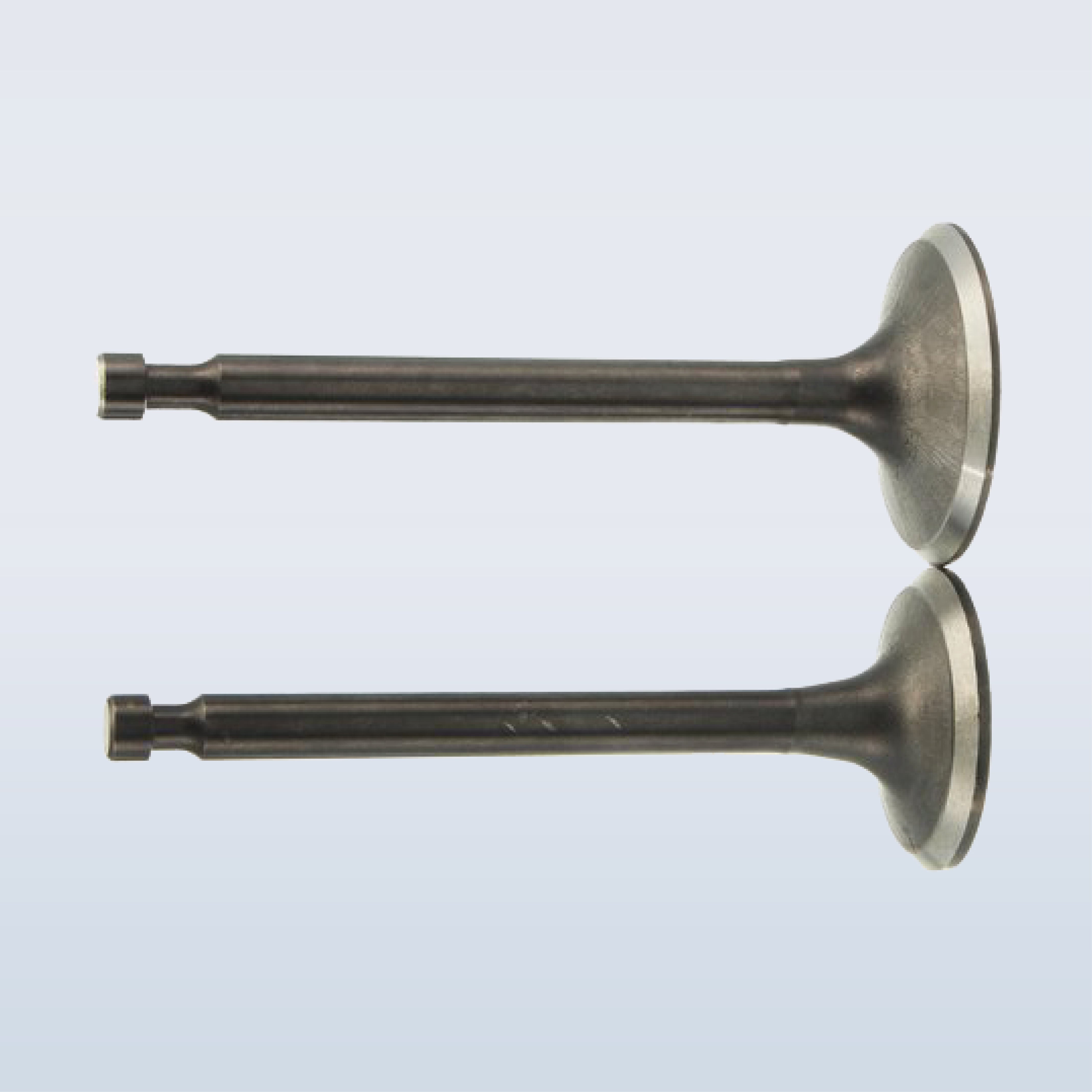 IN & EX VALVE