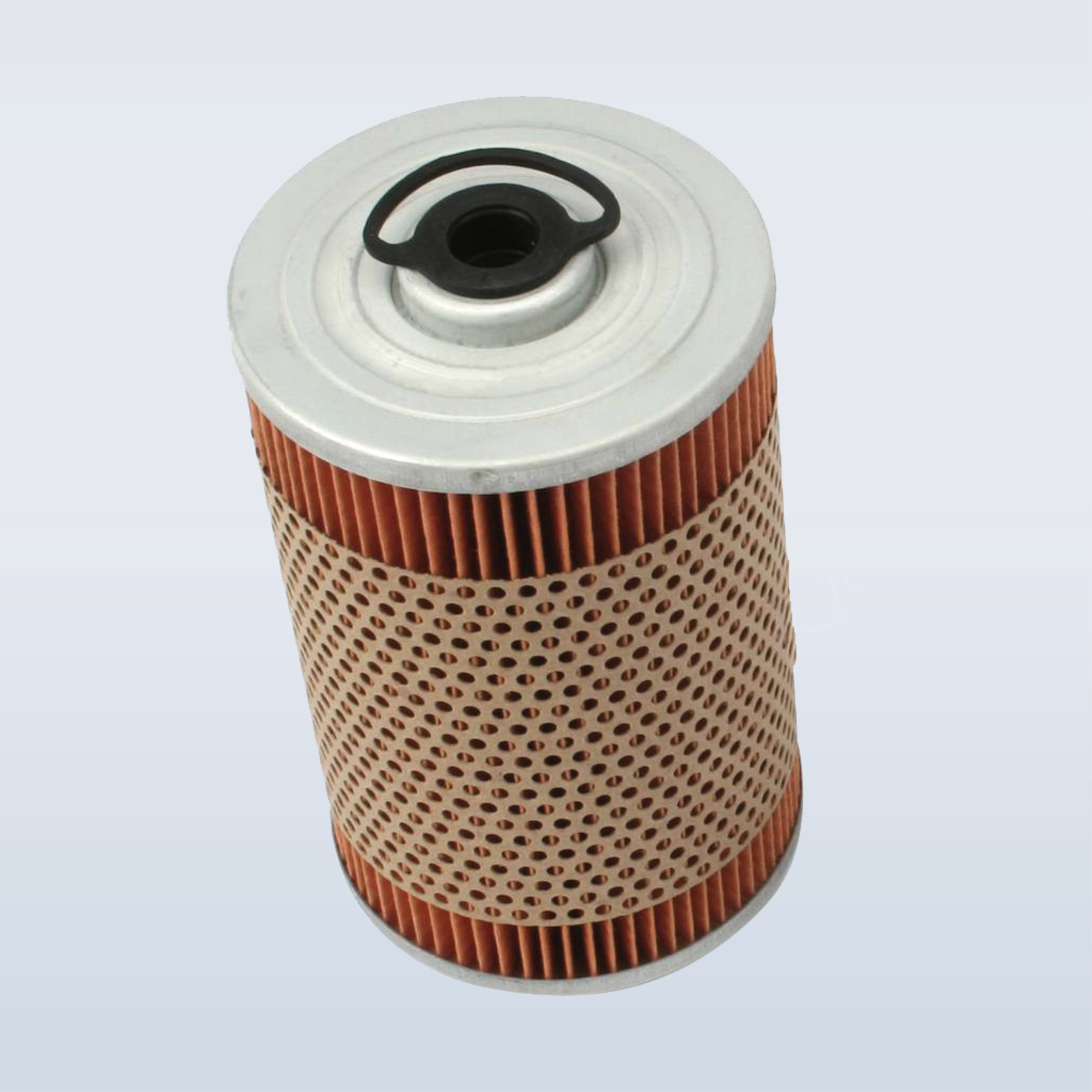 OIL & FUEL FILTER