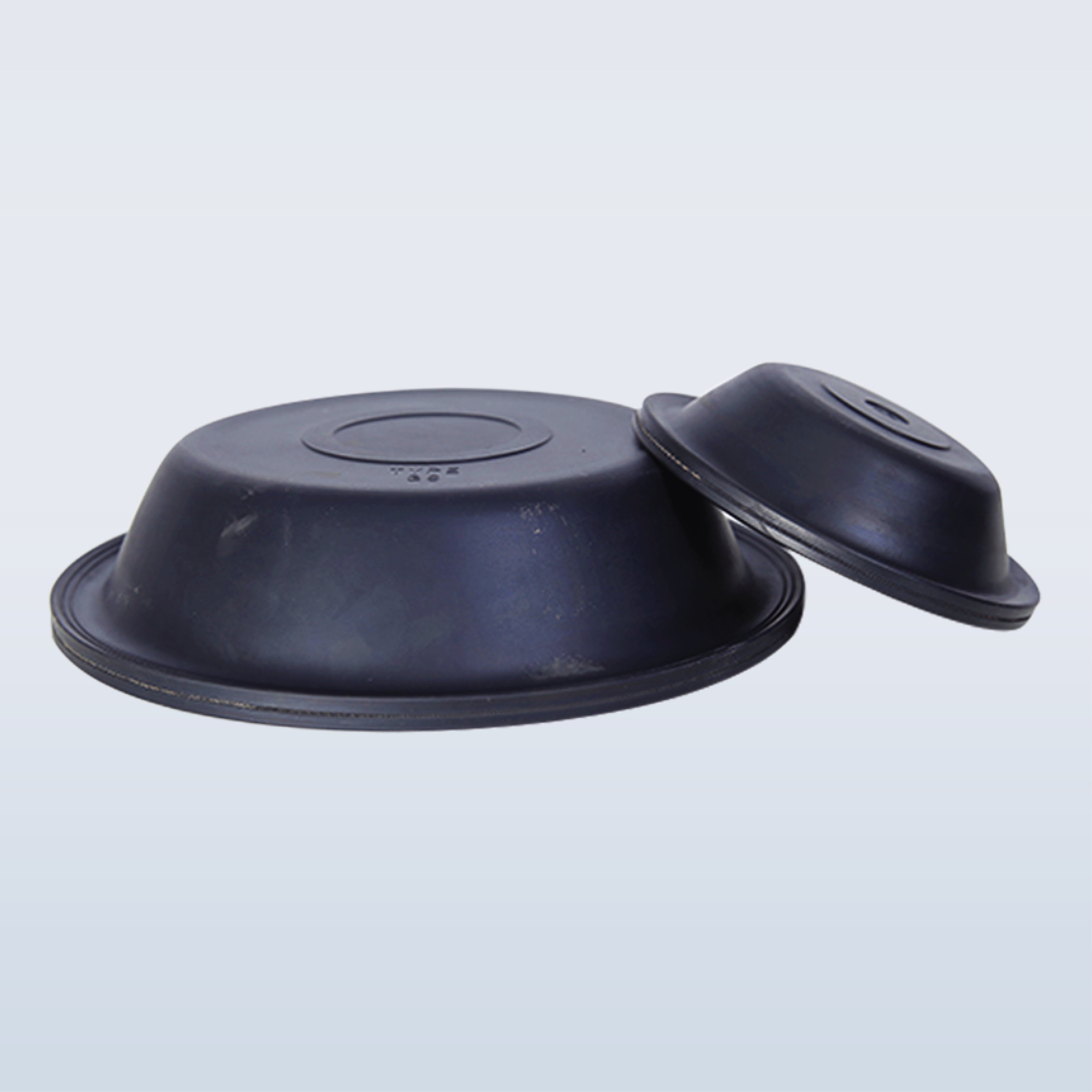 DIAPHRAGM