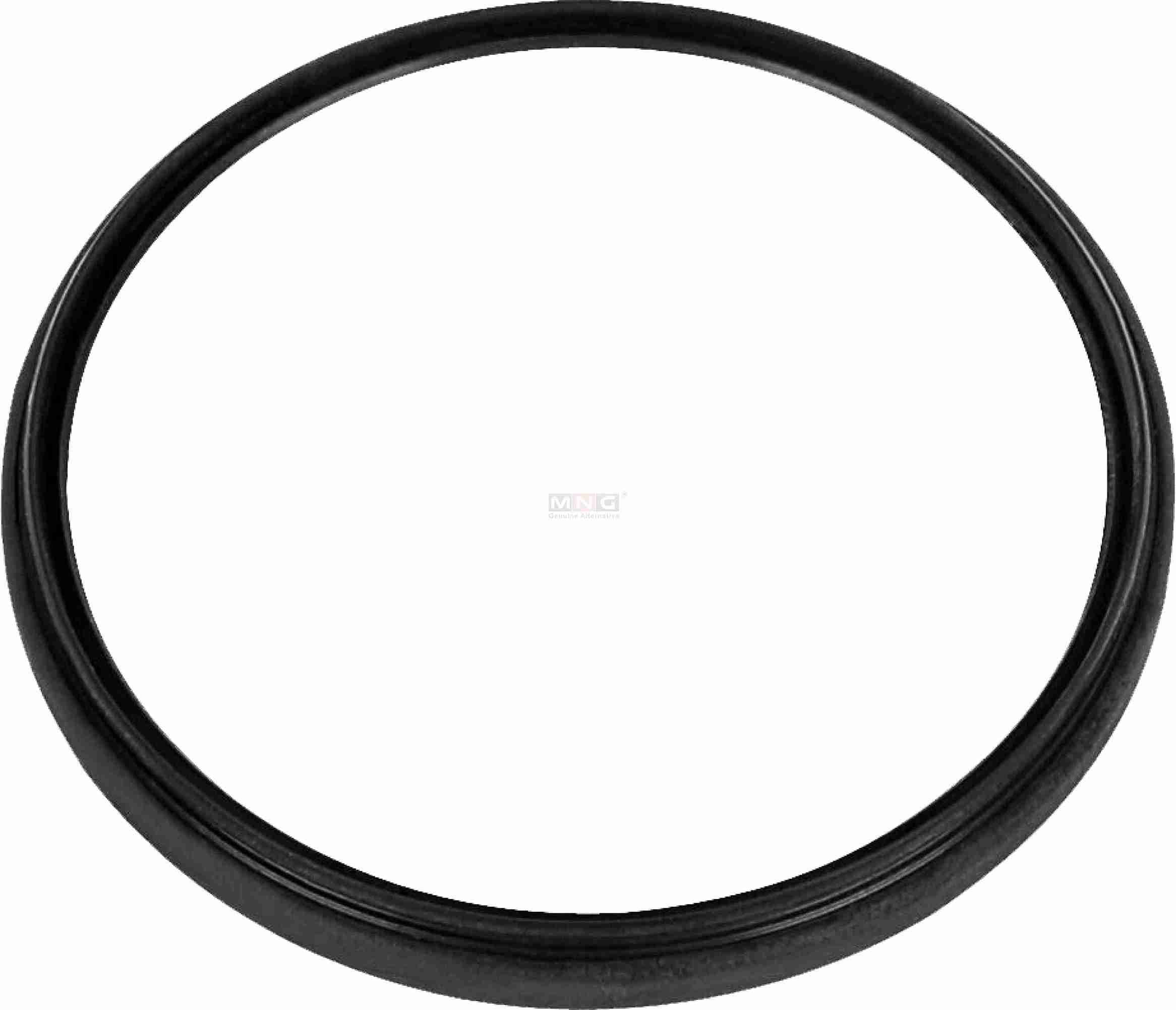 40101031-MNG-OIL-SEAL-IVECO