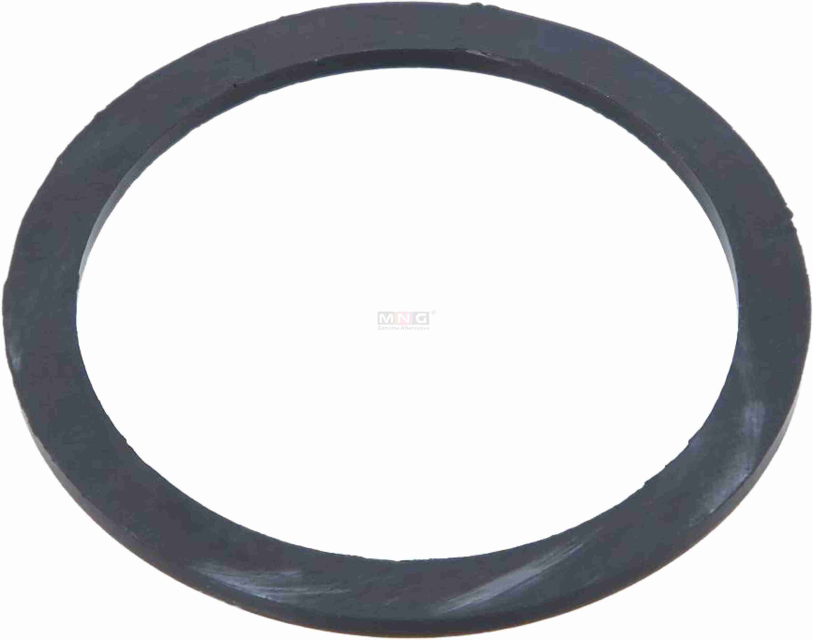 42489649-MNG-OIL-SEAL-IVECO