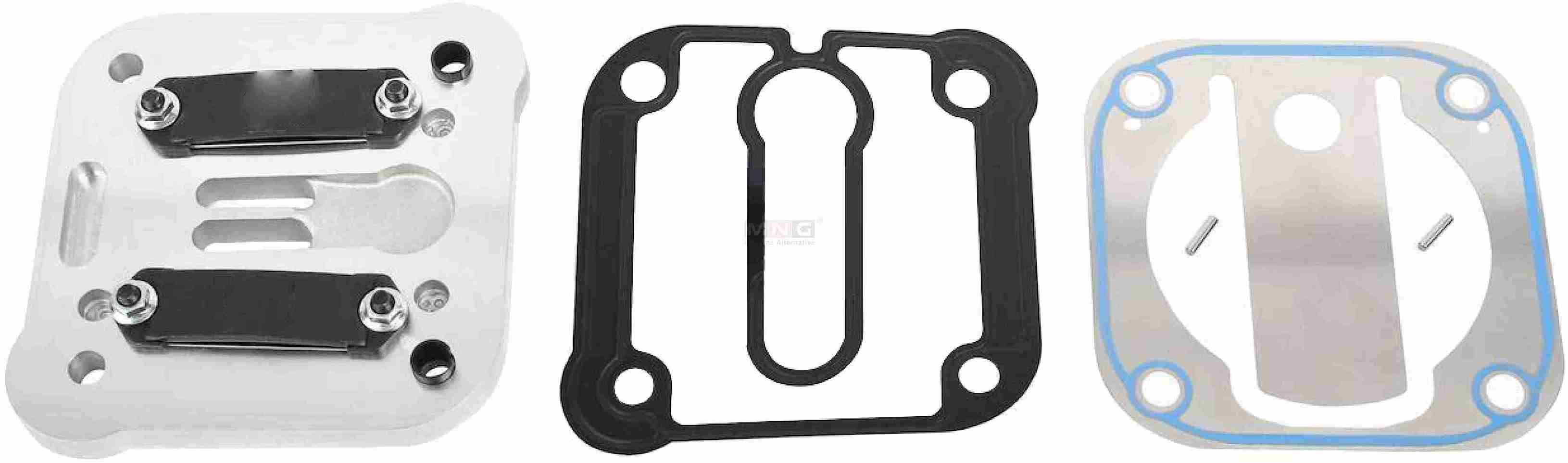 42549208-MNG-VALVE-PLATE-IVECO