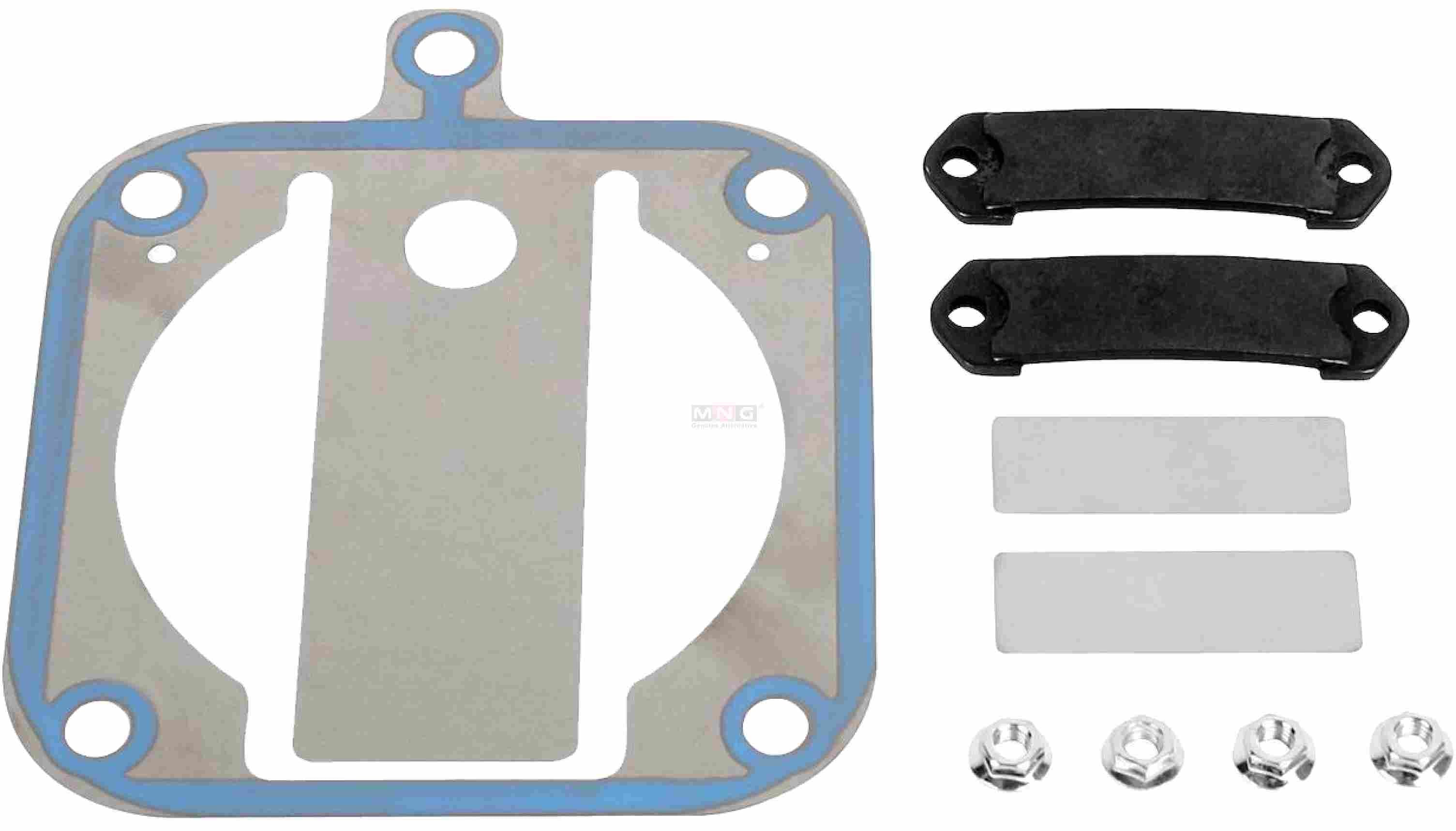 500310903S1-MNG-VALVE-PLATE-IVECO