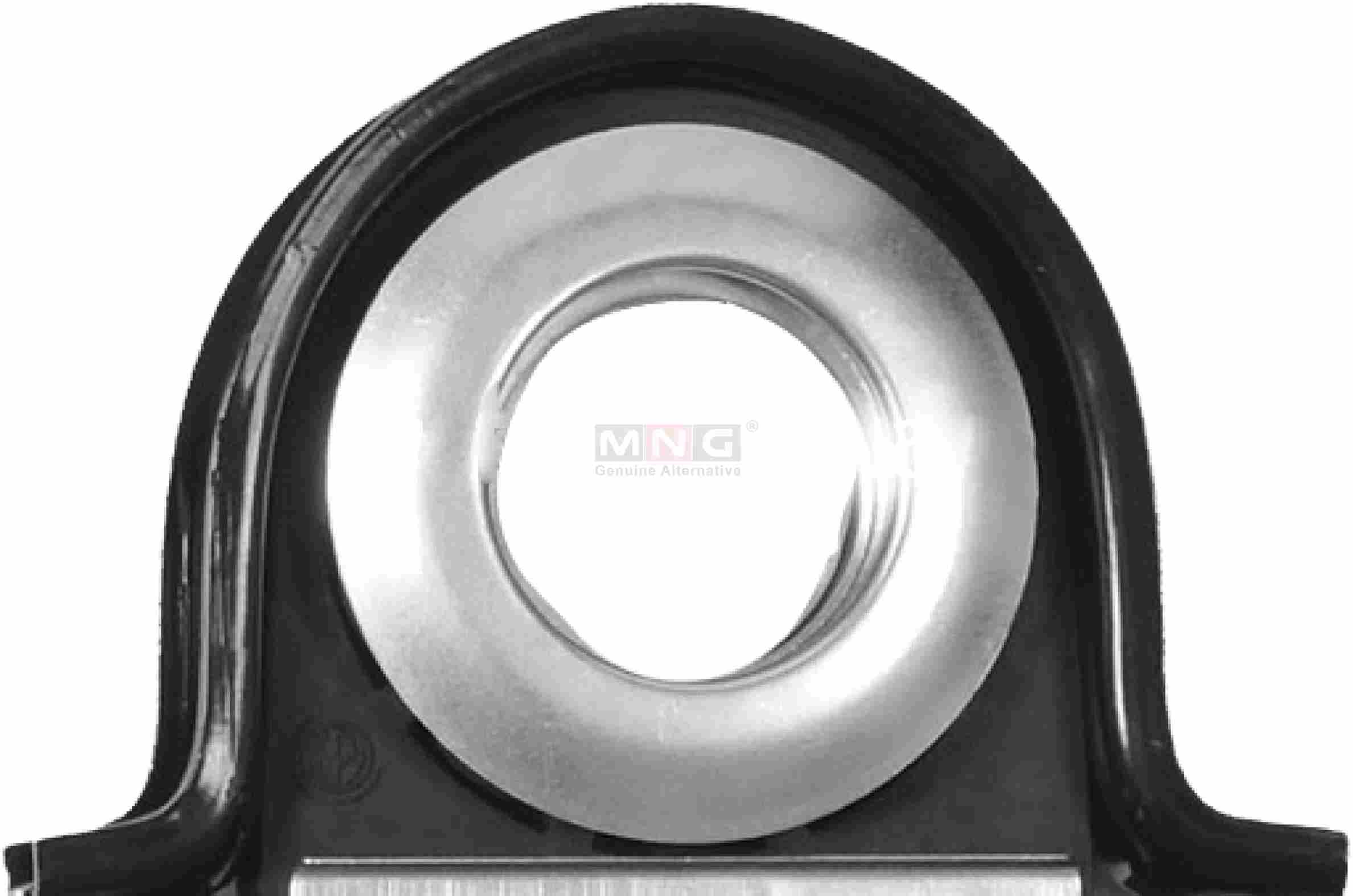 42541440-MNG-CENTER-BEARING-IVECO