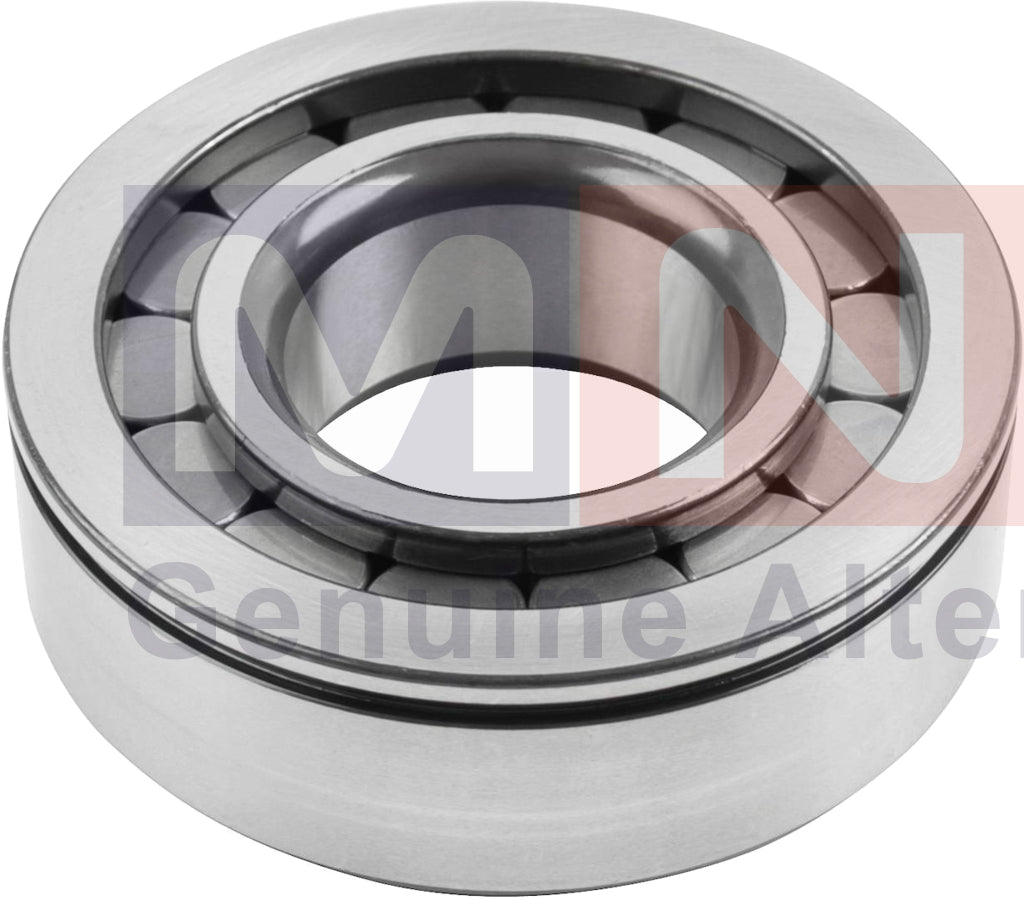 1291189-RollerBearing-DAF