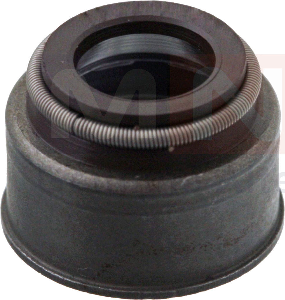 5010295494-ValveStemSeal-Renault