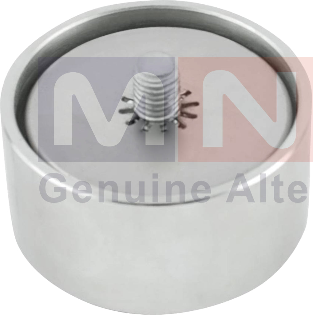 MNG Spare Parts replaces Tension Roller, Iveco 504065878 Eurocargo