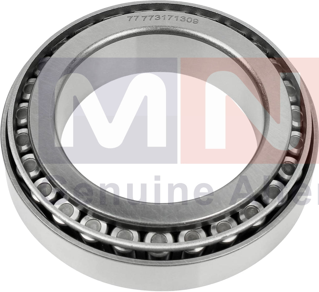 640618-RollerBearing-DAF