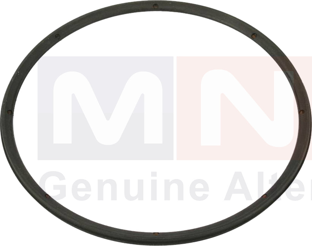 7403199066-SealRing-Renault