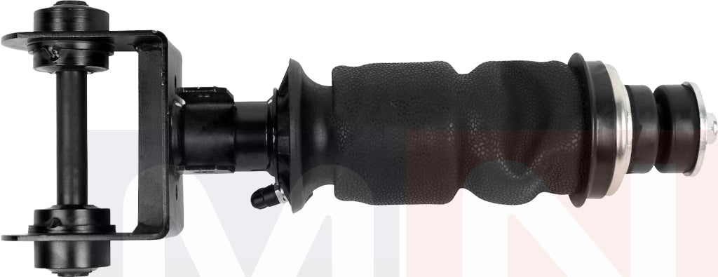 7482052893-ShockAbsorber-Renault