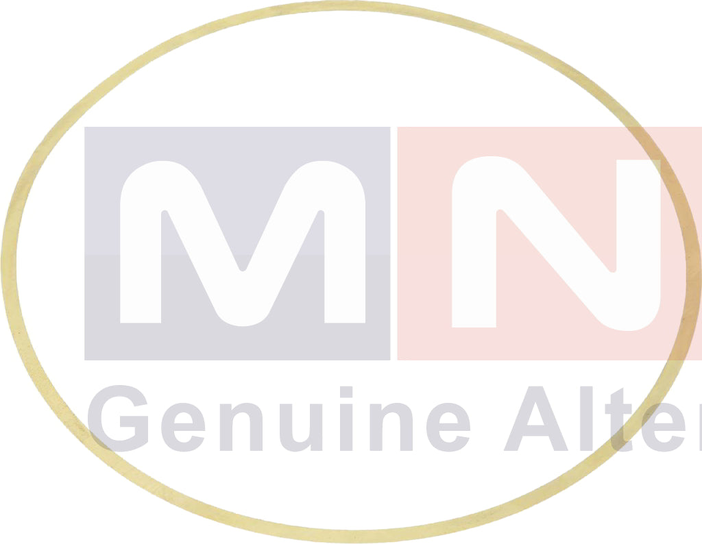 MNG Spare Parts replaces Shim, Iveco  99432875 Powerstar Eurotech Eurostar Stralis